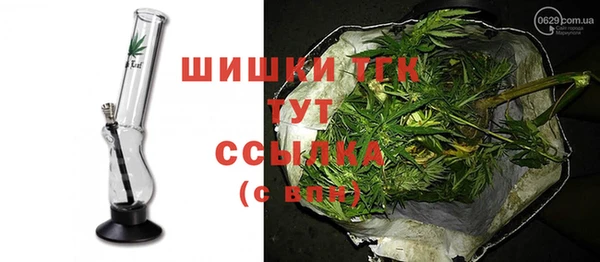 прущие грибы Вязники