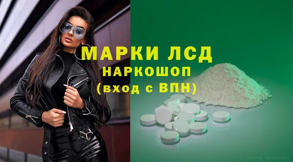 ГАЛЛЮЦИНОГЕННЫЕ ГРИБЫ Вязьма