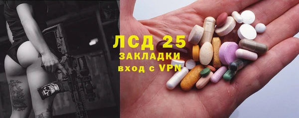 прущие грибы Вязники