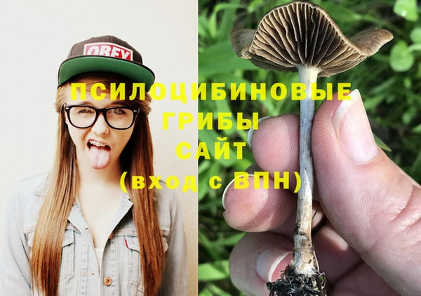 a pvp Вяземский