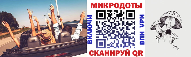 Псилоцибиновые грибы Cubensis  как найти   Павловск 